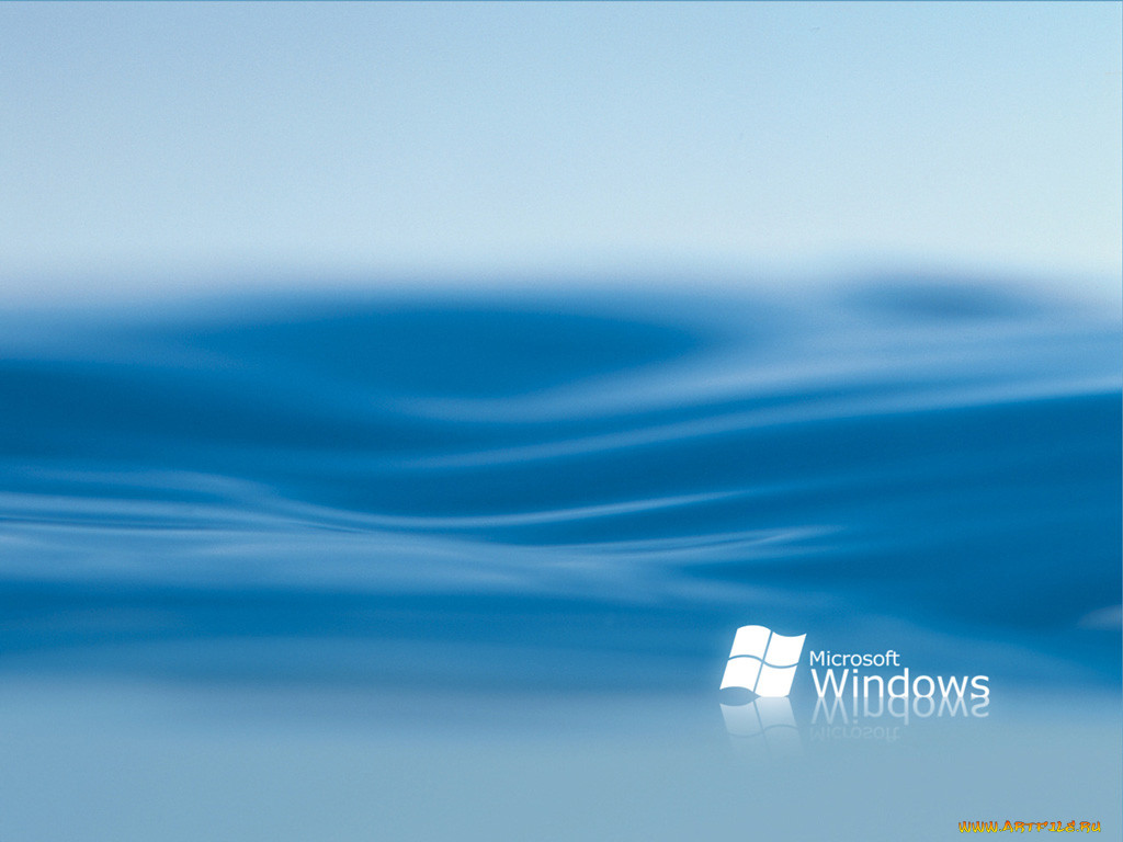 microsoft, windows, , xp